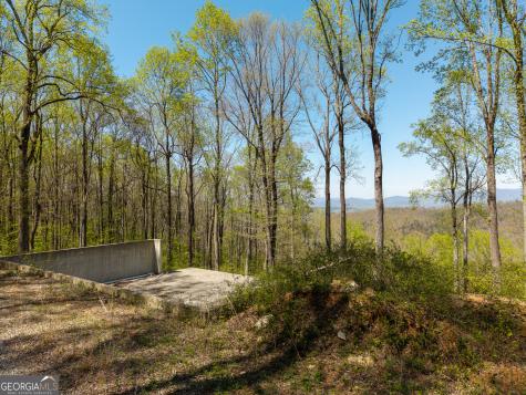 245 Smokerise Court Ellijay GA 30536