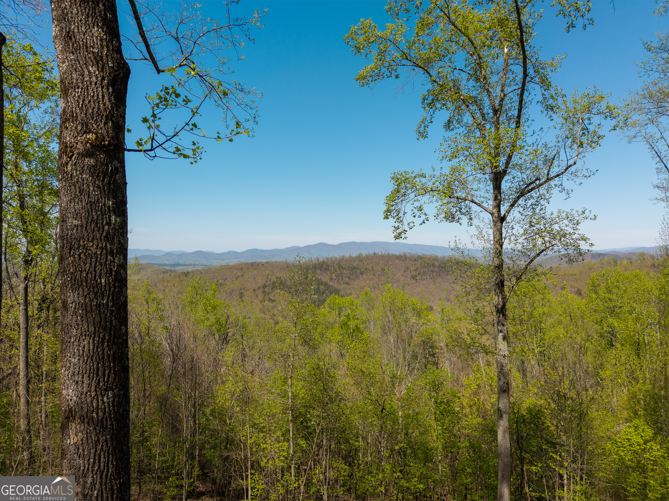 245 Smokerise Court Ellijay GA 30536