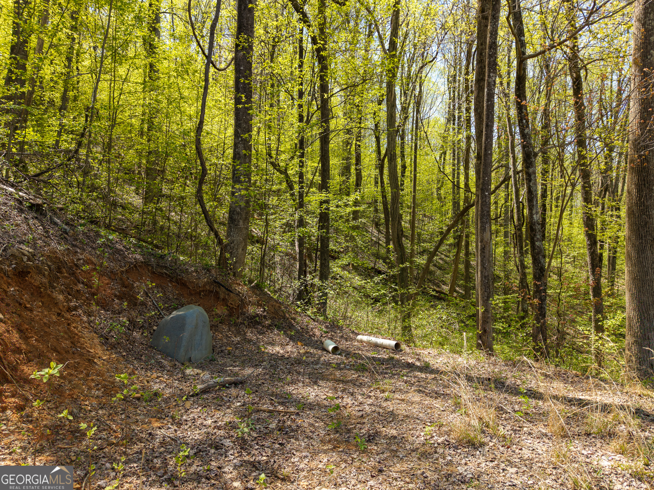 245 Smokerise Court Ellijay GA 30536