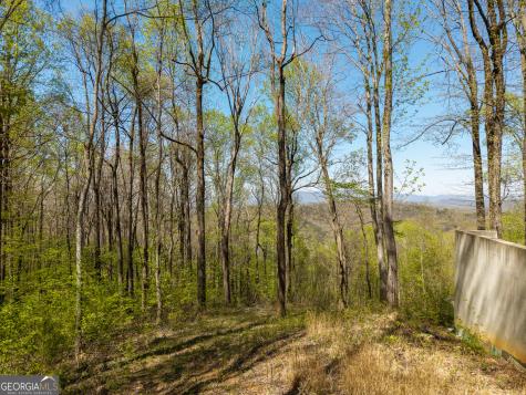 245 Smokerise Court Ellijay GA 30536