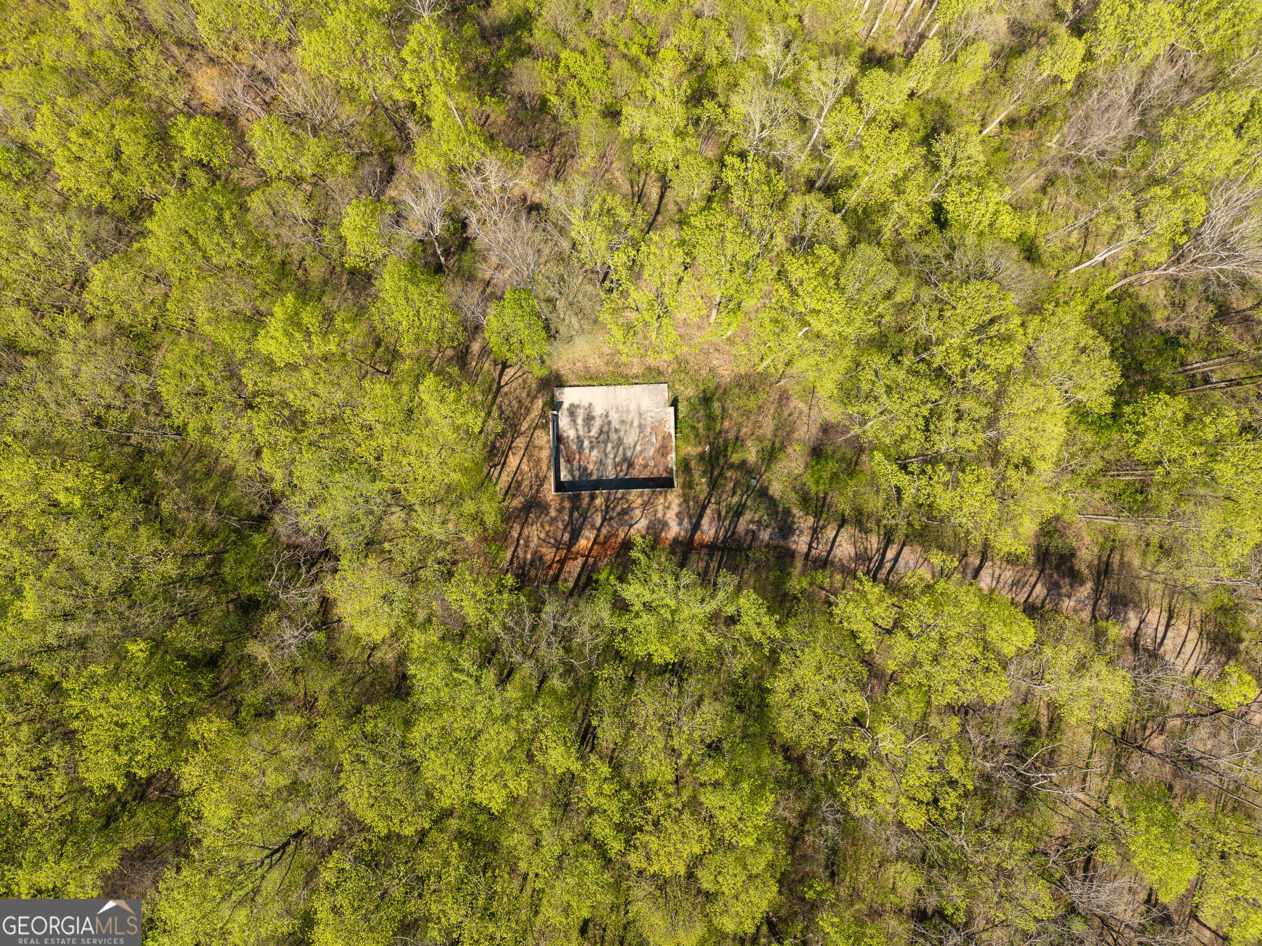 245 Smokerise Court Ellijay GA 30536