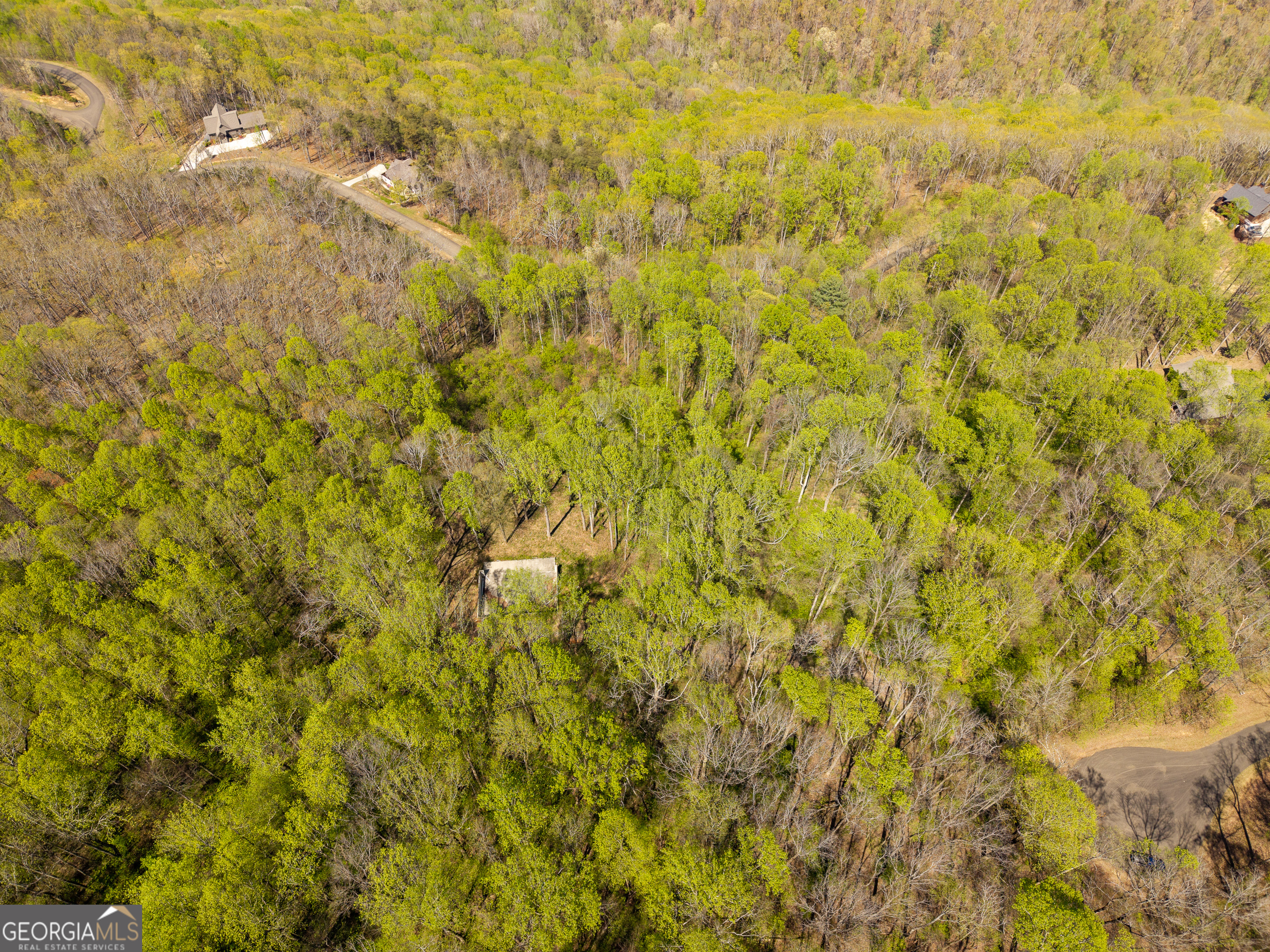 245 Smokerise Court Ellijay GA 30536