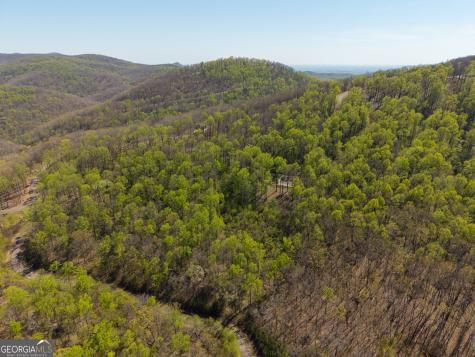 245 Smokerise Court Ellijay GA 30536