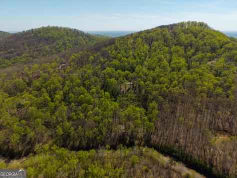 245 Smokerise Court Ellijay GA 30536