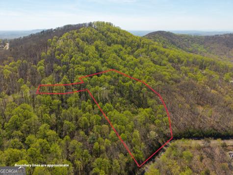 245 Smokerise Court Ellijay GA 30536