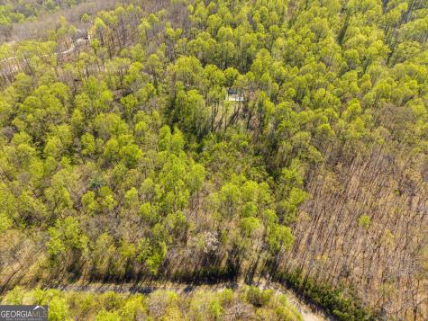 245 Smokerise Court Ellijay GA 30536