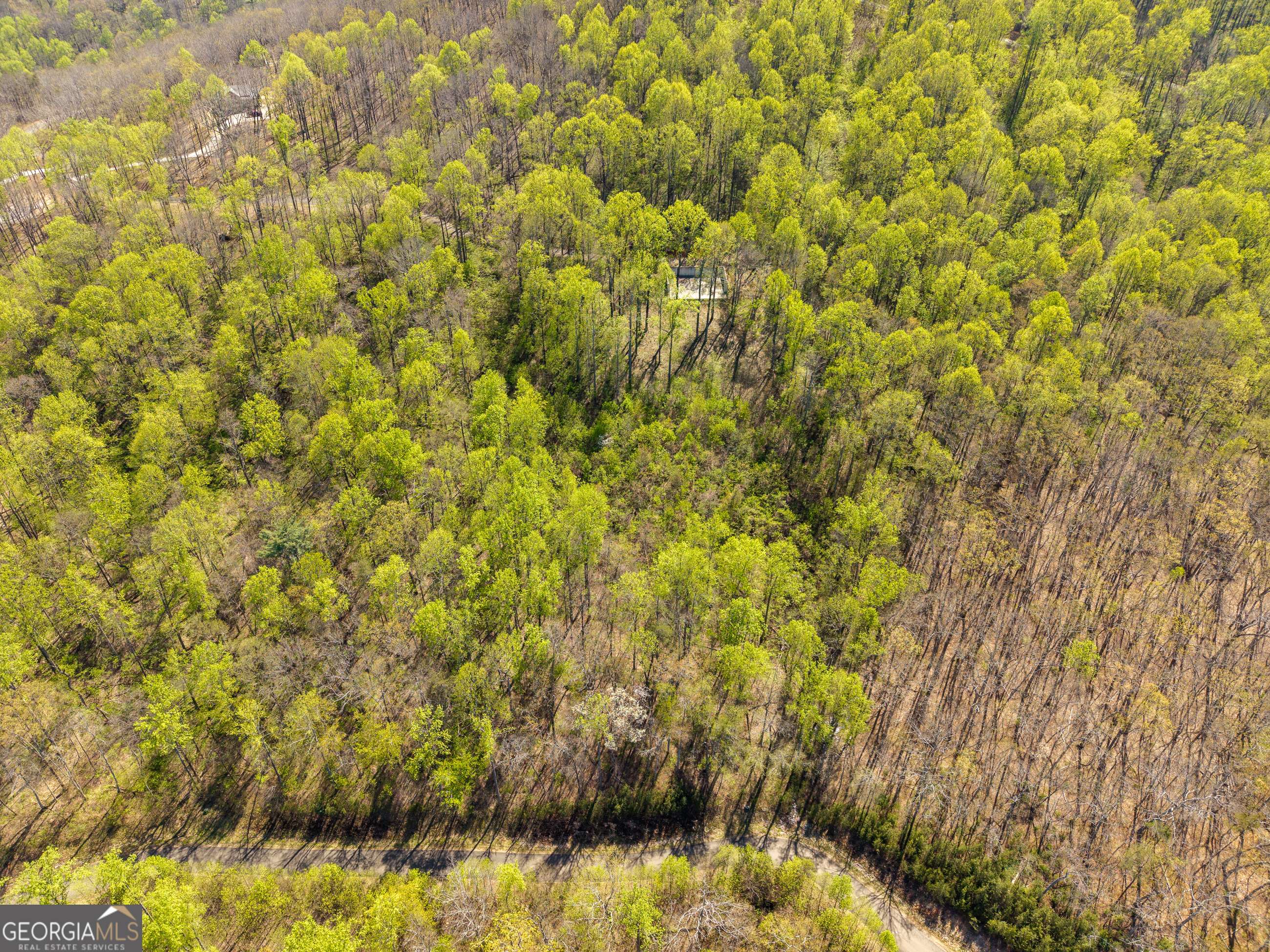 245 Smokerise Court Ellijay GA 30536