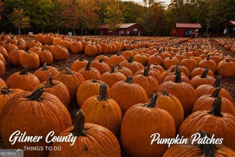 Lt 8 & 9 Hidden Valley Trail Ellijay GA 30540