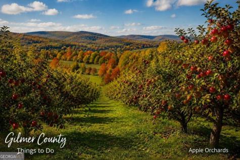 Lt 8 & 9 Hidden Valley Trail Ellijay GA 30540
