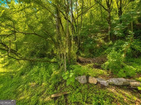 Lt 8 & 9 Hidden Valley Trail Ellijay GA 30540