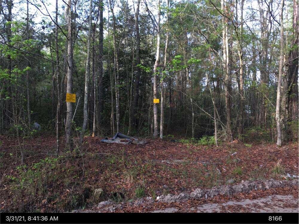 Lot 27b Eulonia Lake Estates Road SW Townsend GA 31331