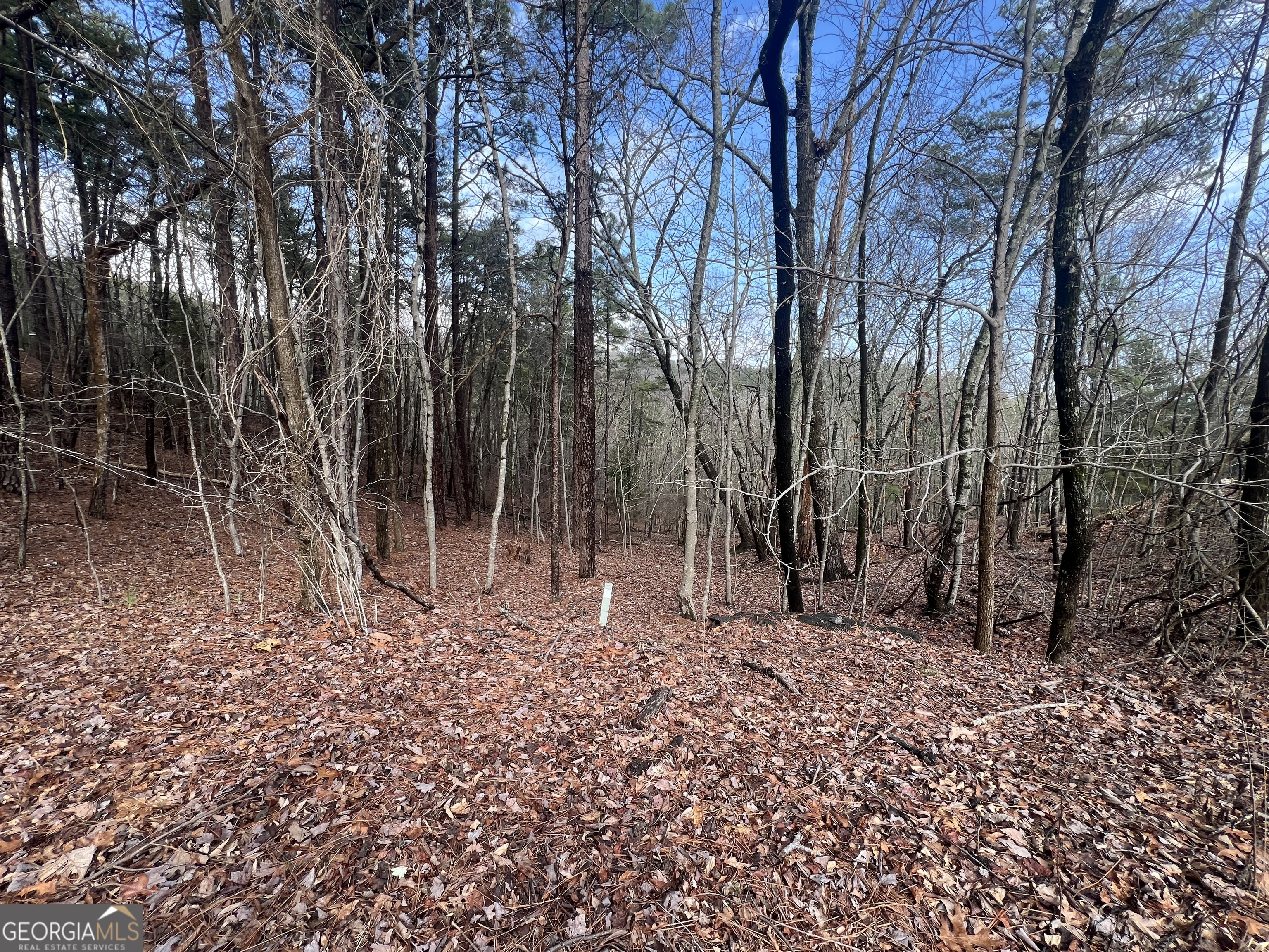 0 Spring Ridge Trail Rome GA 30165