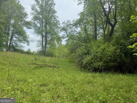 LOT 9 Peach Orchard Way Tiger GA 30576