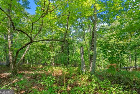 0 Flat Rock Point Dahlonega GA 30533