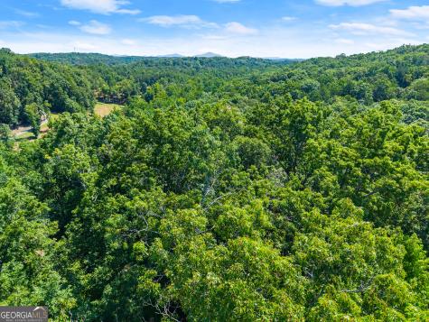 0 Flat Rock Point Dahlonega GA 30533