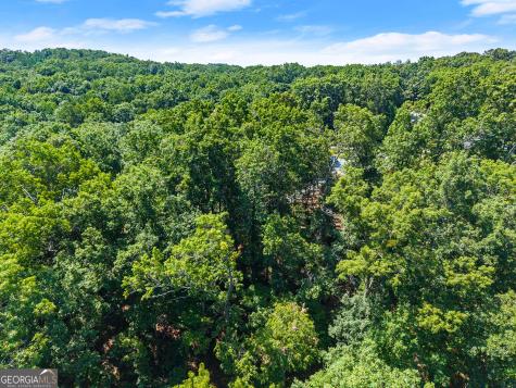 0 Flat Rock Point Dahlonega GA 30533
