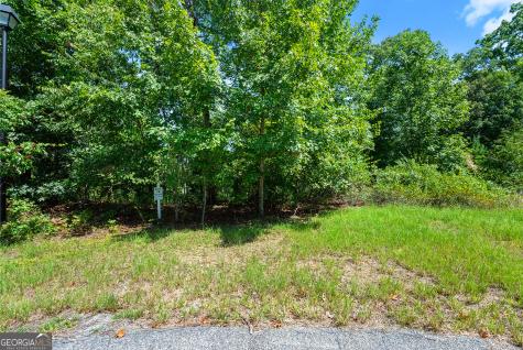 0 Flat Rock Point Dahlonega GA 30533