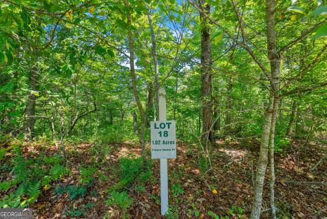 0 Flat Rock Point Dahlonega GA 30533