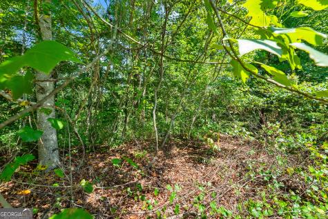 0 Flat Rock Point Dahlonega GA 30533