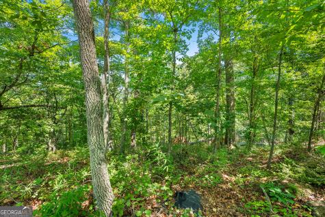 0 Flat Rock Point Dahlonega GA 30533
