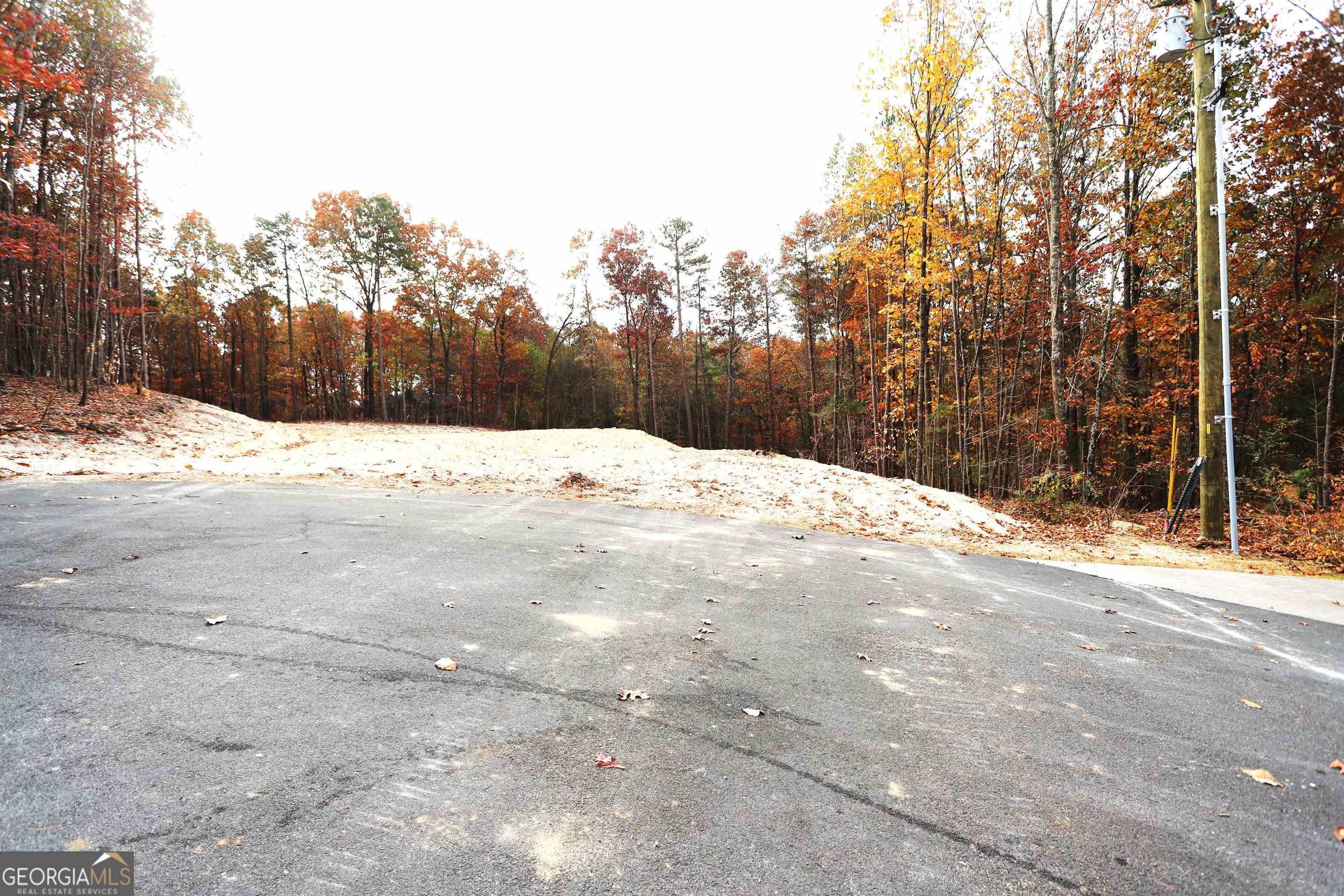 249 Sara Jane Lane Summerville GA 30747