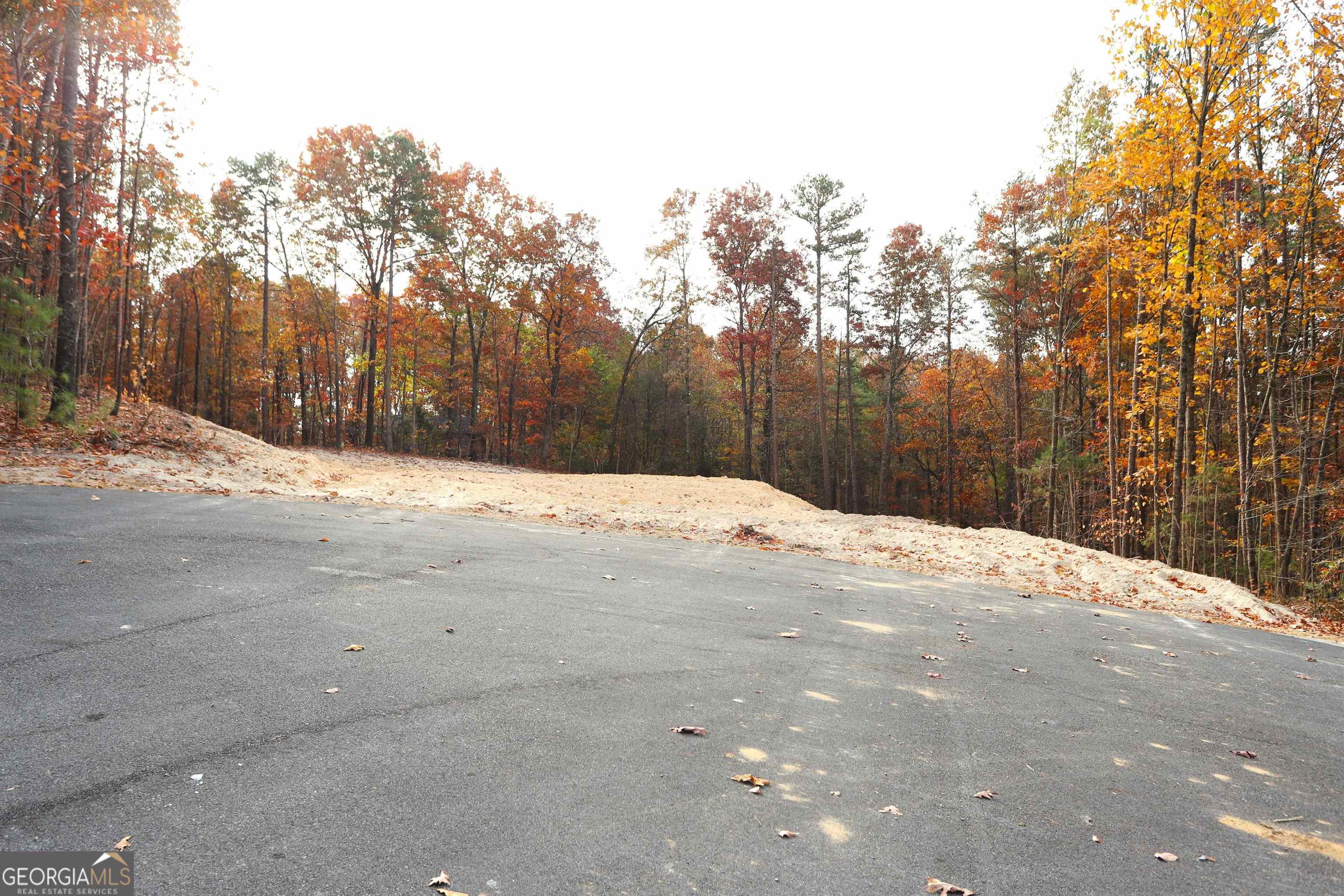 249 Sara Jane Lane Summerville GA 30747