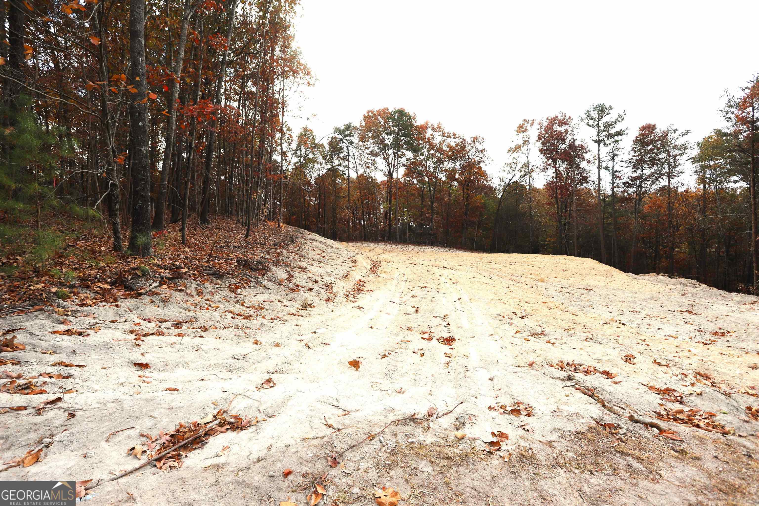 249 Sara Jane Lane Summerville GA 30747