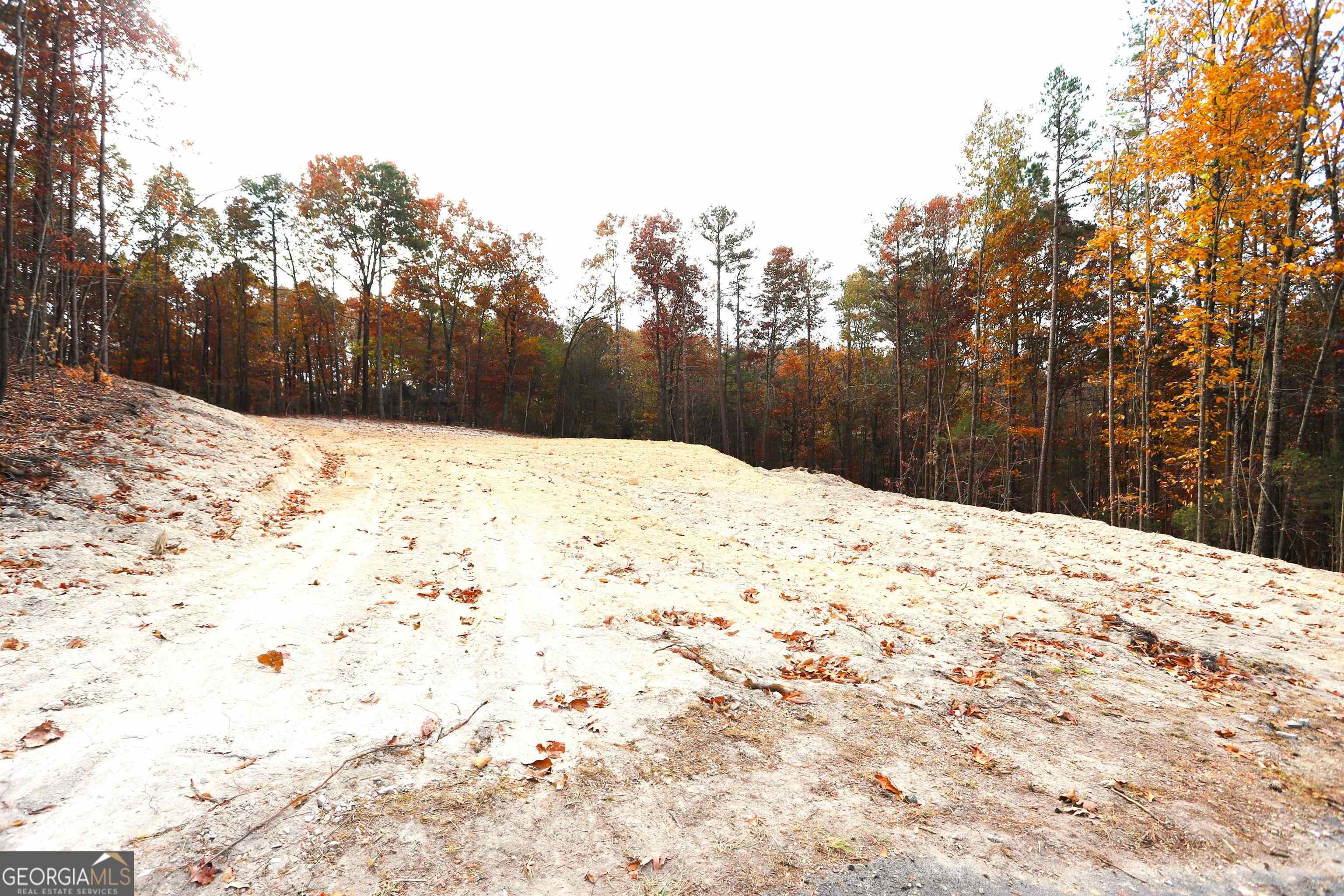 249 Sara Jane Lane Summerville GA 30747