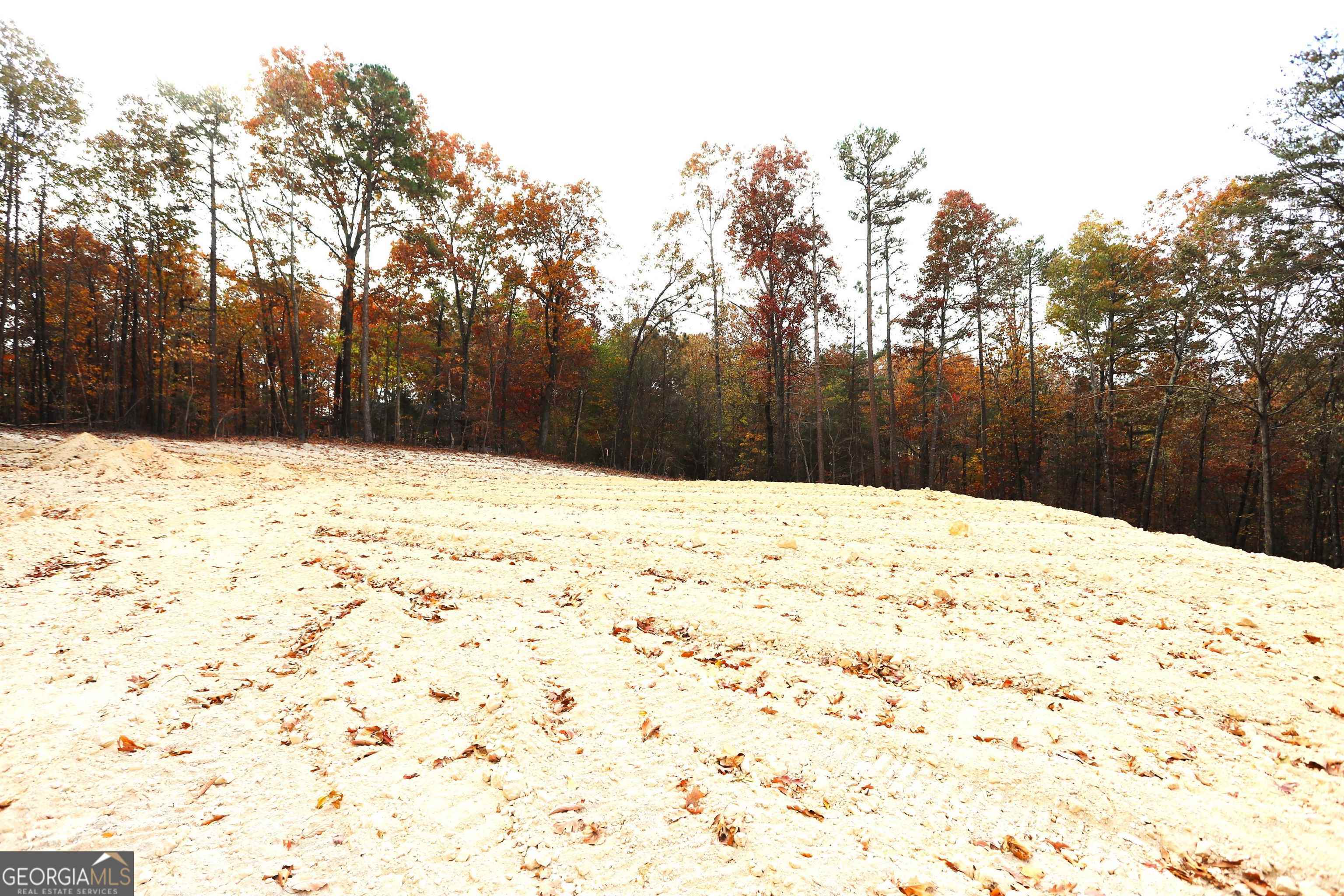 249 Sara Jane Lane Summerville GA 30747