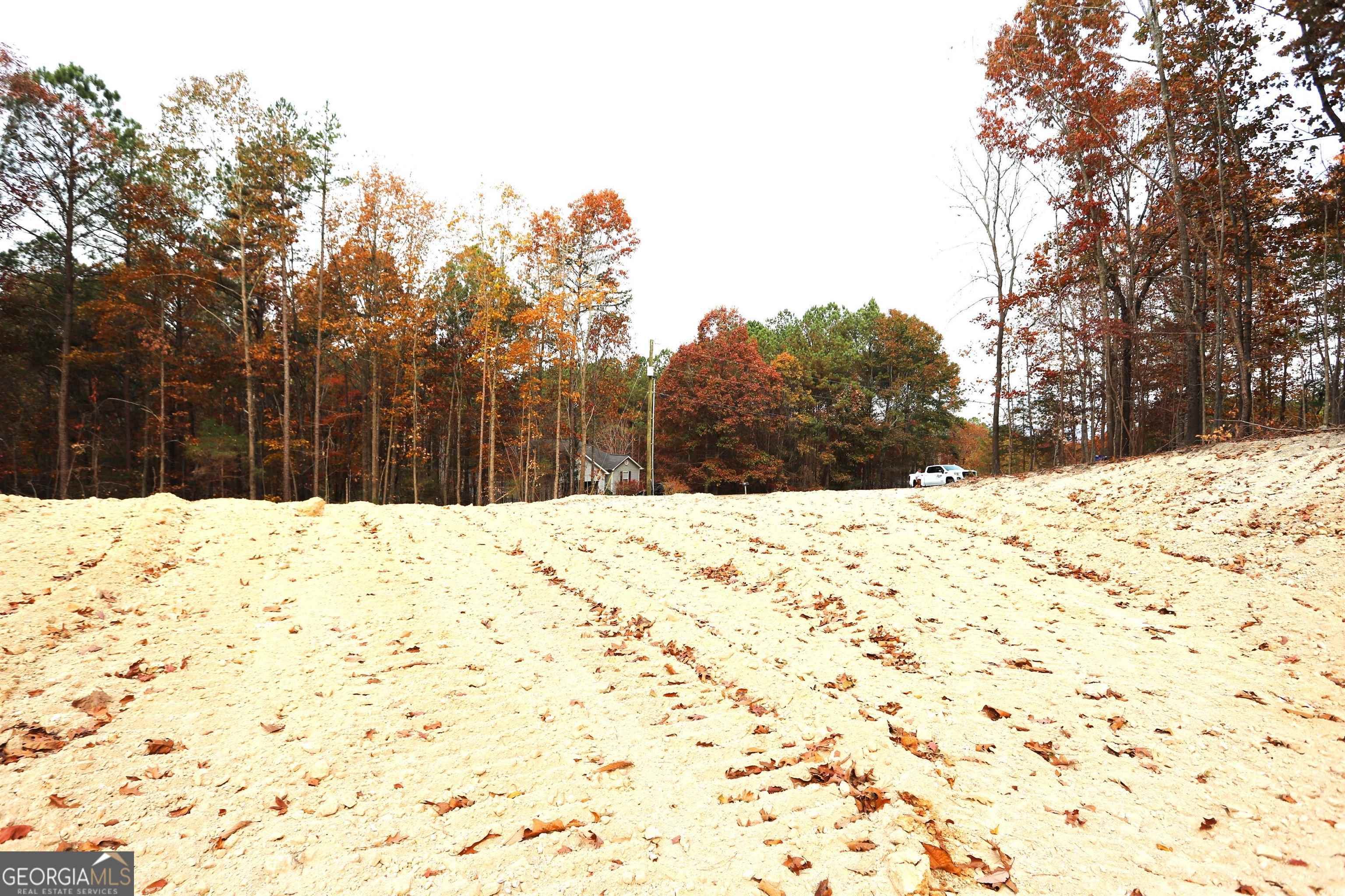 249 Sara Jane Lane Summerville GA 30747