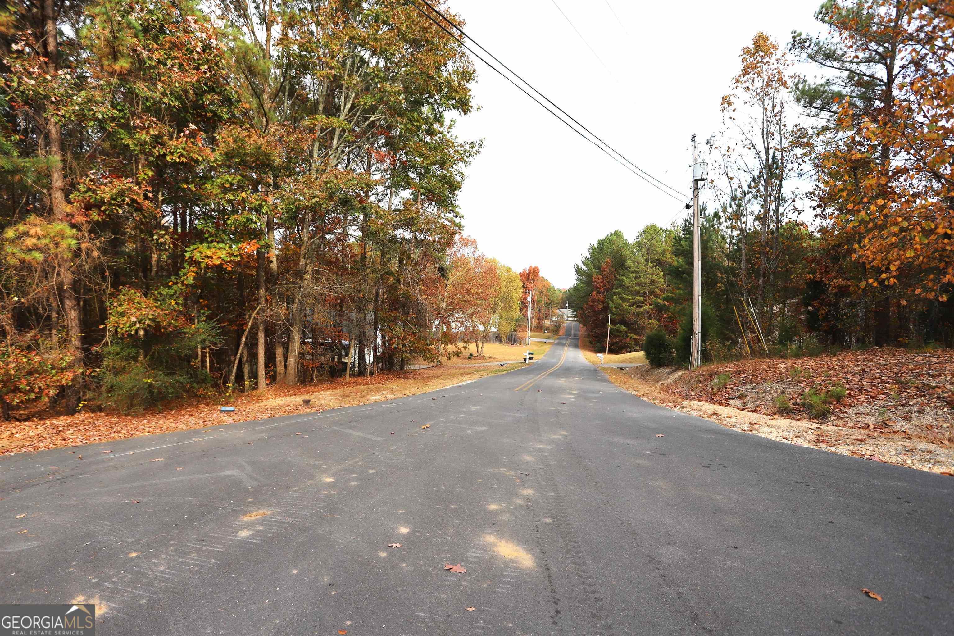 249 Sara Jane Lane Summerville GA 30747