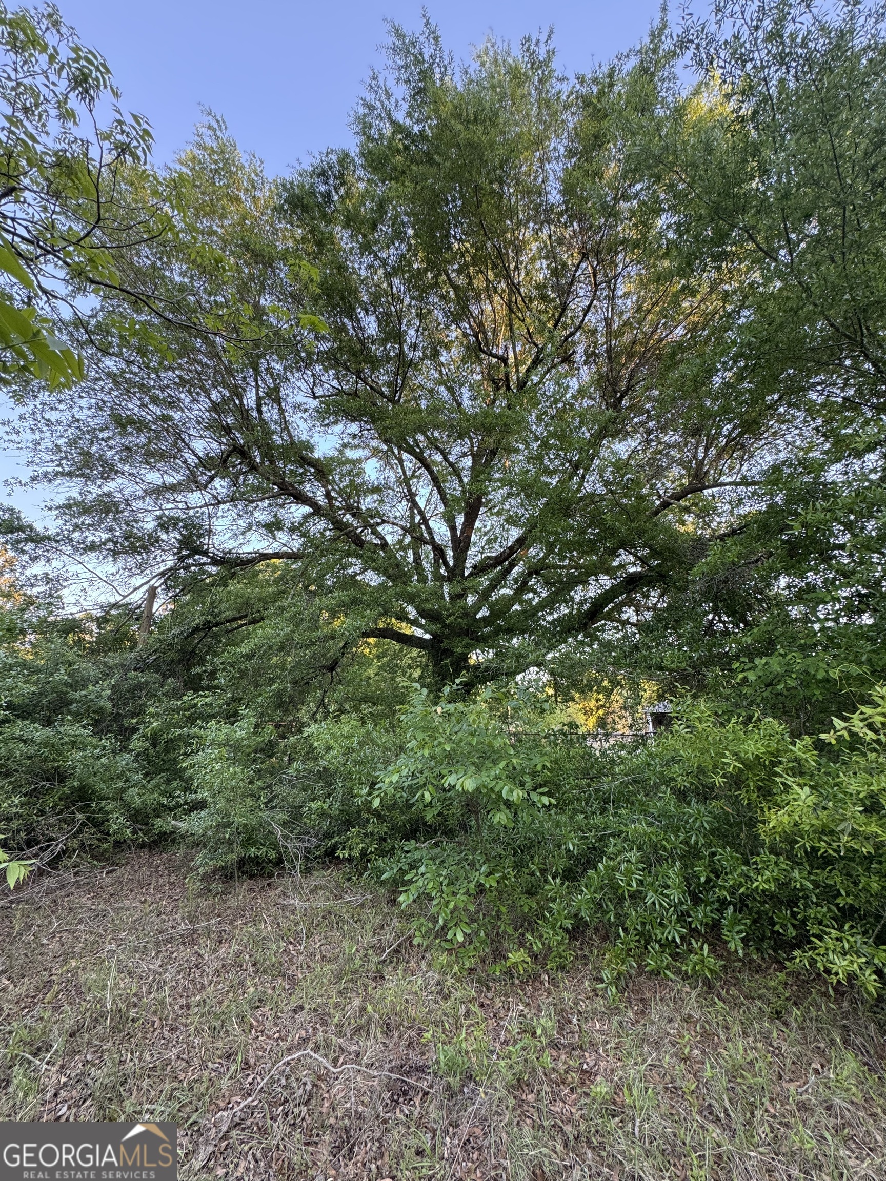 1045 Horseshoe Road Augusta GA 30906