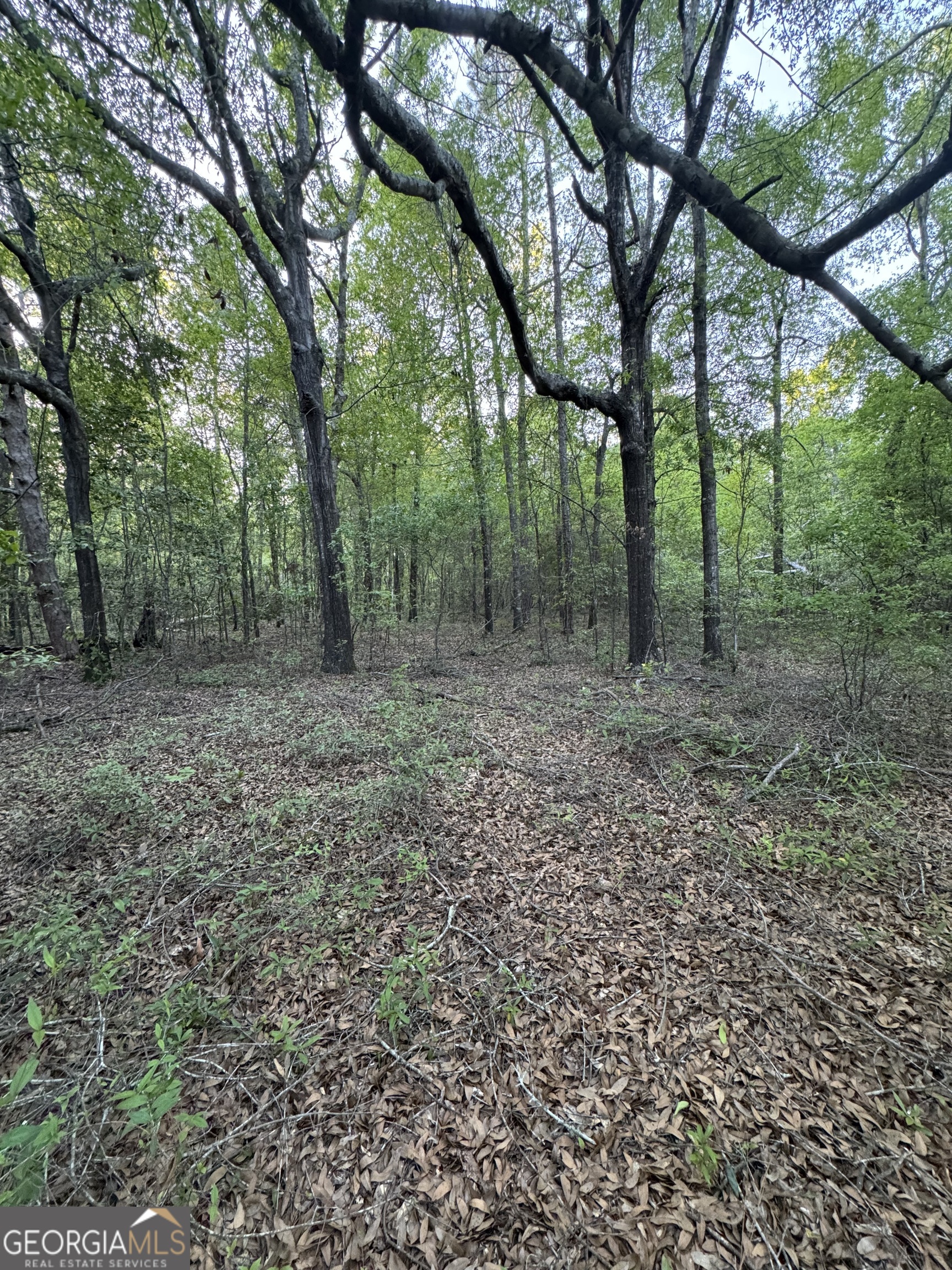 1045 Horseshoe Road Augusta GA 30906