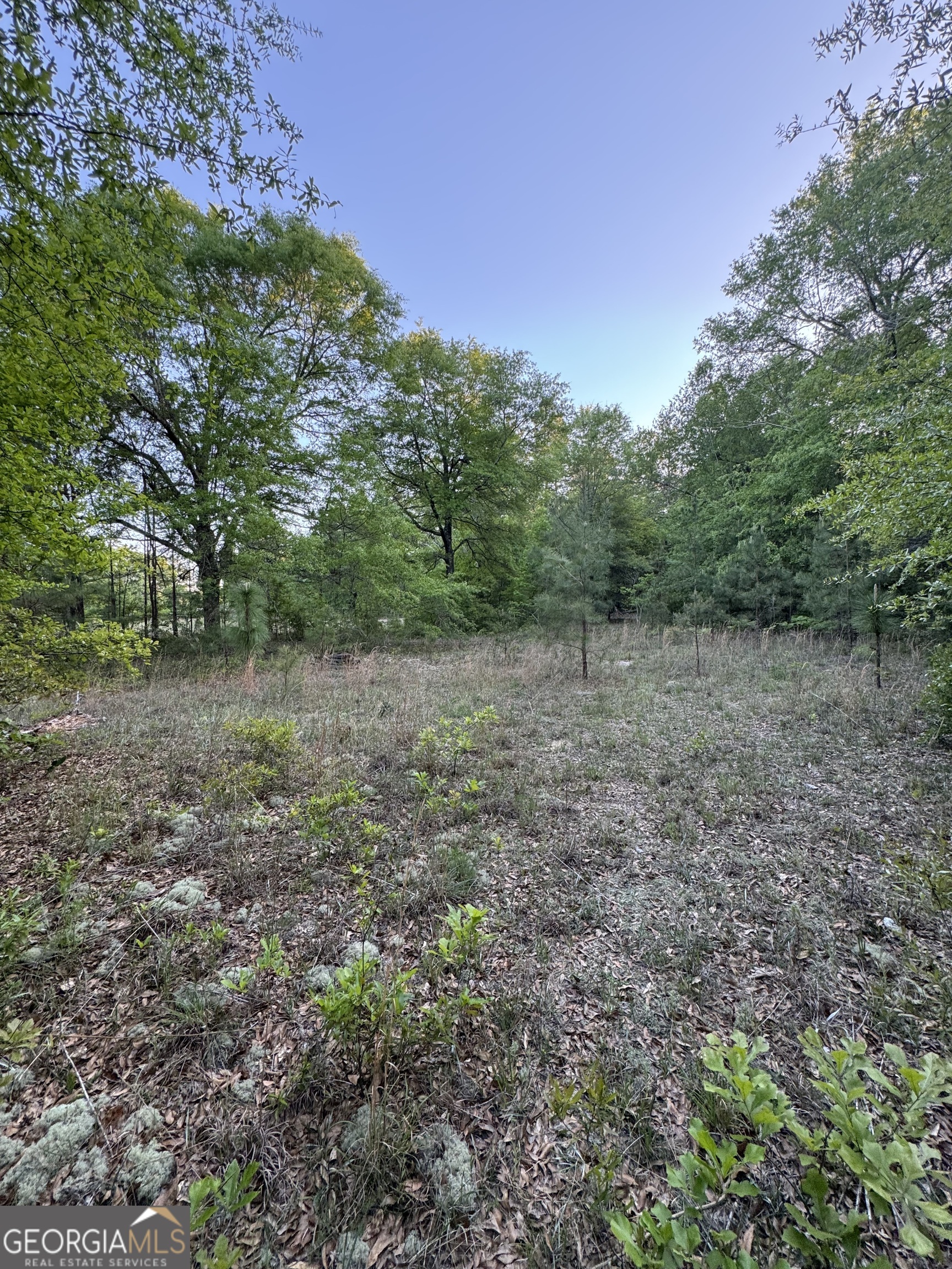 1045 Horseshoe Road Augusta GA 30906