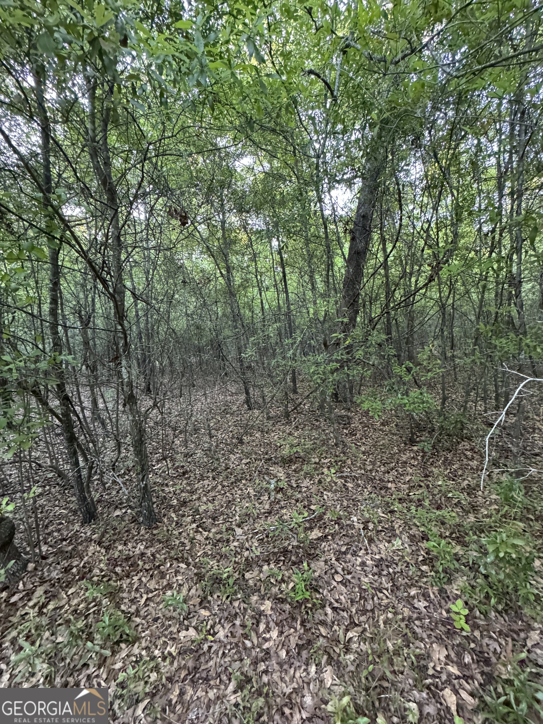 1045 Horseshoe Road Augusta GA 30906