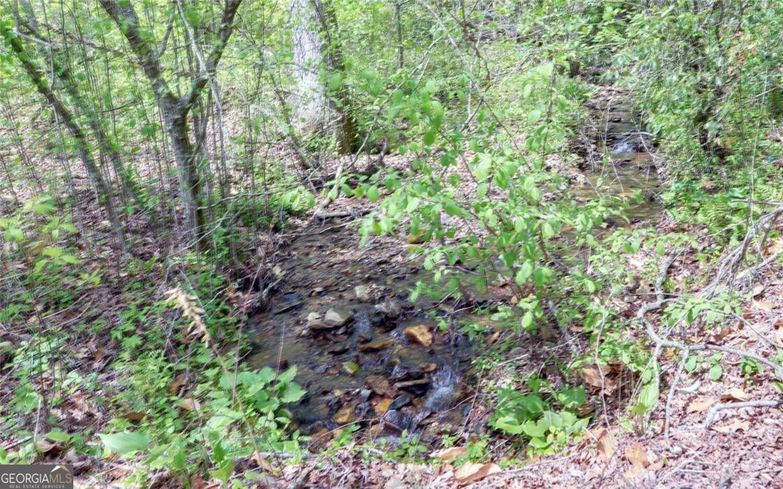 Tract 2 Clayton Gooch Road Dahlonega GA 30533