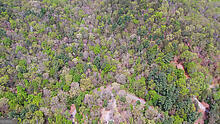 Tract 2 Clayton Gooch Road Dahlonega GA 30533