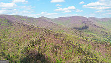 Tract 2 Clayton Gooch Road Dahlonega GA 30533
