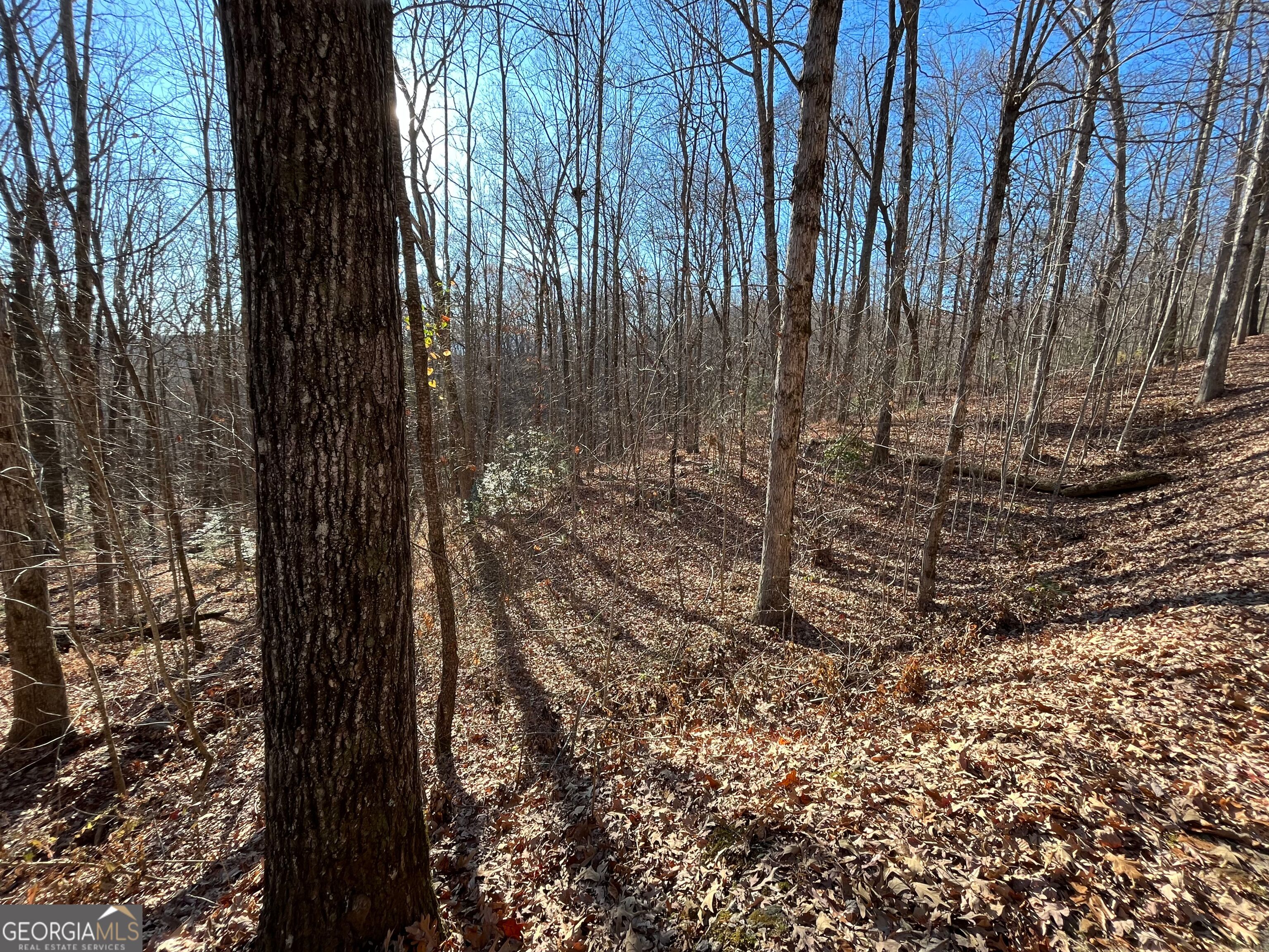 Lot #2 Forest Canopy Way Clayton GA 30525