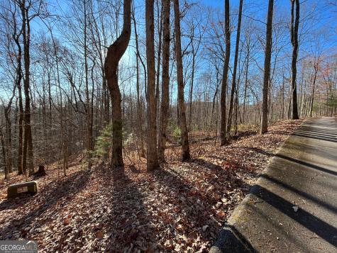 Lot #2 Forest Canopy Way Clayton GA 30525