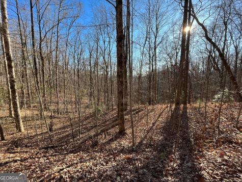 Lot #2 Forest Canopy Way Clayton GA 30525