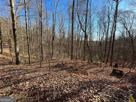 Lot #2 Forest Canopy Way Clayton GA 30525