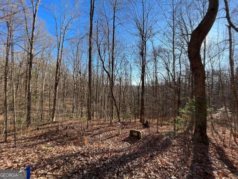 Lot #2 Forest Canopy Way Clayton GA 30525
