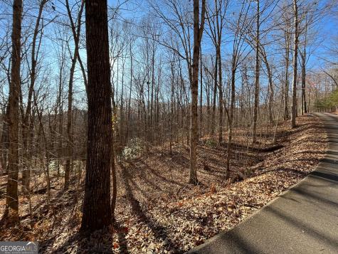 Lot #2 Forest Canopy Way Clayton GA 30525