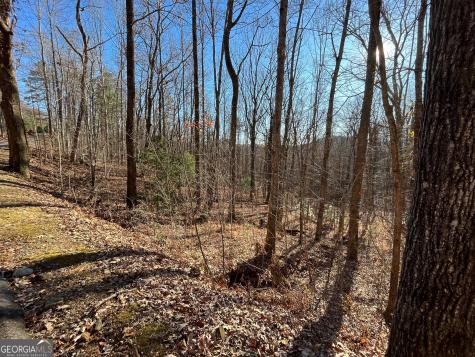 Lot #2 Forest Canopy Way Clayton GA 30525