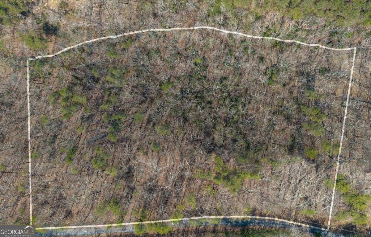0 Mulberry Circle Jasper GA 30143