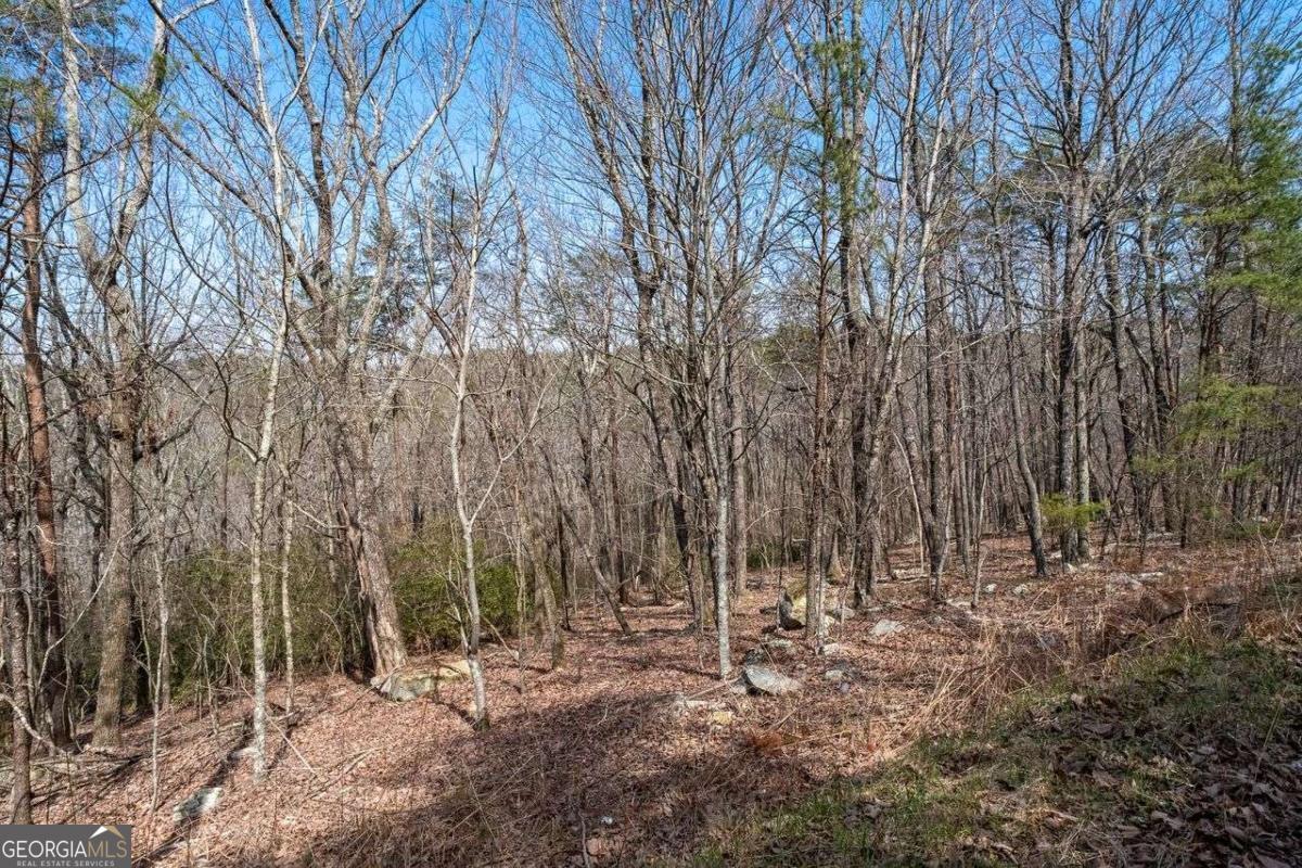 0 Mulberry Circle Jasper GA 30143