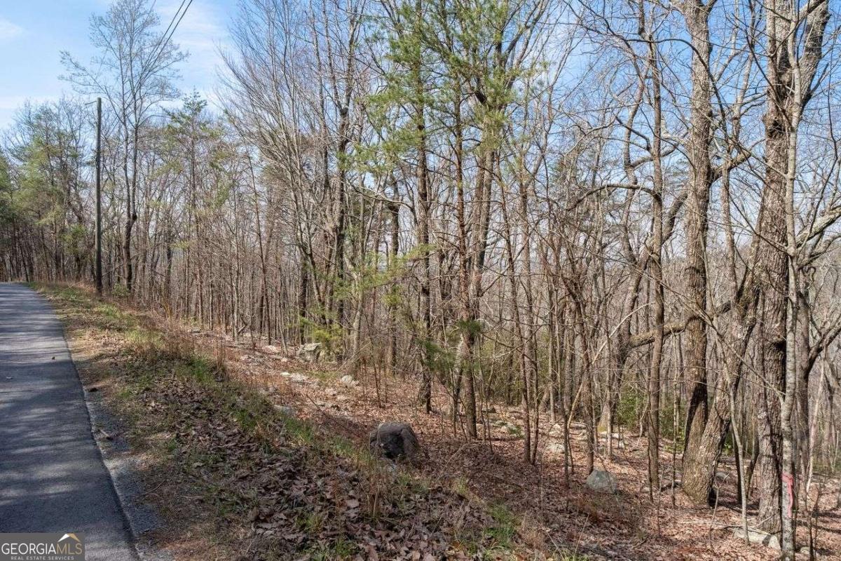 0 Mulberry Circle Jasper GA 30143