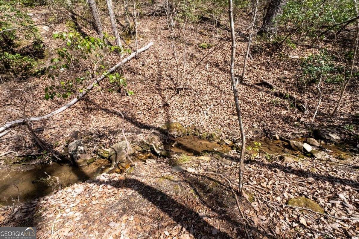 0 Mulberry Circle Jasper GA 30143