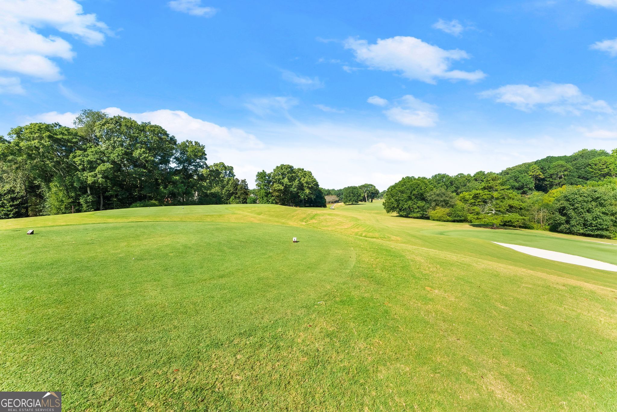 2020 Burgundy Drive Braselton GA 30517